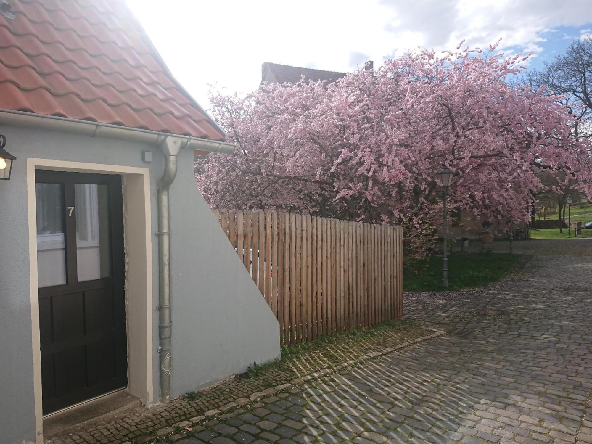 Ferienhaus Aschersleben Dış mekan fotoğraf